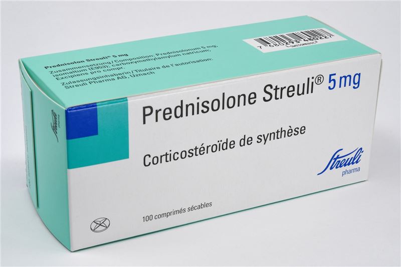 Prednisolone Streuli cpr 5 mg 100 pce